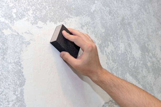 Best Water Damage & Mold Remediation  in Lake Dallas, TX
