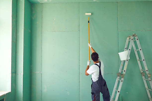 Mold Odor Removal Services in Lake Dallas, TX