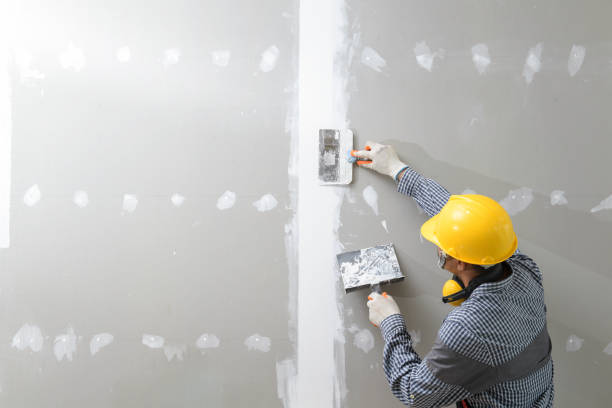 Best Asbestos and Lead Testing During Mold Inspection  in Lake Dallas, TX