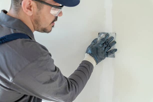 Best Basement Mold Removal  in Lake Dallas, TX