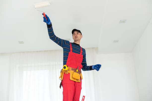 Best Mold-Related Health Consultation  in Lake Dallas, TX