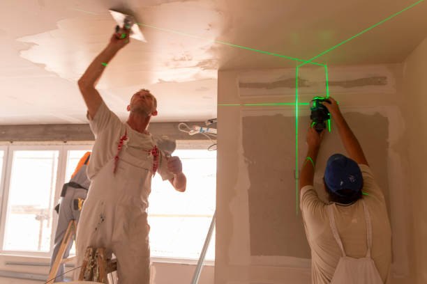Lake Dallas, TX Mold Removal Company