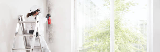 Best Forensic Mold Investigation  in Lake Dallas, TX