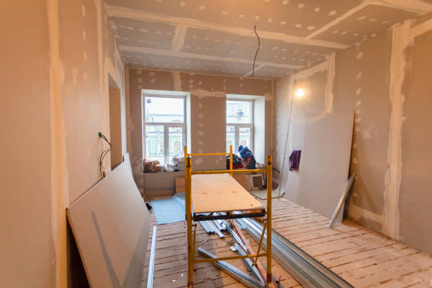 Forensic Mold Investigation in Lake Dallas, TX